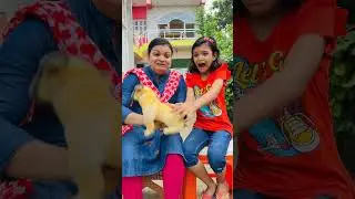 Dog transform to man 😱 Tom&Jerry 🤣#Kritikachannel#Shorts#viral#trending