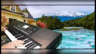 ЭНГ САРА ТЕРМА ОГИР ХАЁТИЙ КУШИКЛАР  🎵🎵🎵