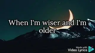 Wake me up (Lyrics) - Avicii