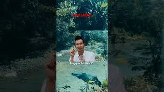 GUS BAHA // PODO LARANE