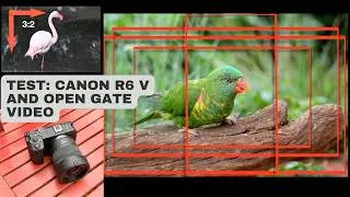Canon R6 V: Open Gate Video Test – Why Recording with the Full Sensor Matters