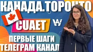 КАНАДА. ТОРОНТО. НАШИ ПЕРВЫЕ ШАГИ НОВЫХ ИММИГРАНТОВ И НОВЫЙ TELEGRAM-КАНАЛ!