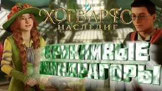 ГЕРОЙ ВСЕЙ ДЕРЕВНИ \ Hogwarts Legacy#5
