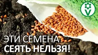 ПРОВЕРЬТЕ ВСХОЖЕСТЬ СЕМЯН ПЕРЕД ПОСЕВОМ! 3 способа оценки всхожести