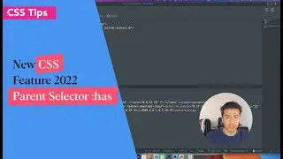 New CSS Feature 2022  - Parent Selector :has
