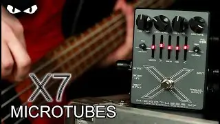 Darkglass Electronics Microtubes X7 BASS Demo