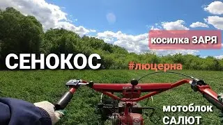 СЕНОКОС люцерны мотоблоком САЛЮТ/косилка ЗАРЯ
