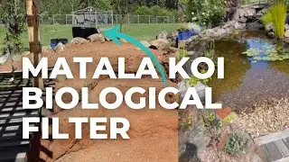 Matala Koi Clear Biological Filter—Installed in Australian Pond