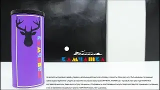 Реклама Камчипсов - Образовательный форум 