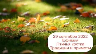 29 сентября 2022 Святая великомученица Евфимия.  Птичья костка.  Приметы.