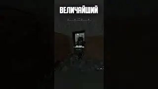 ЕГО ДВИЖЕНИЯ ВСЕЛЯЛИ УЖАС👻 #shorts #игры #сталкер #сталкрафт #minecraft #gaming #games #stalcraft