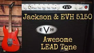 EVH 5150 50W 6L6 2X12 COMBO for HIGH-GAIN, SEARING LEAD TONES! (JACKSON USA DINKY STRAT)