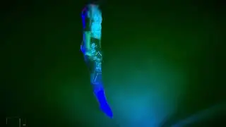 22 сентября 2024 г.