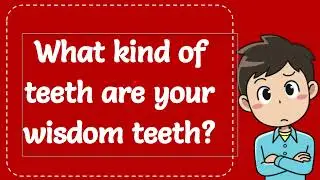 What kind of teeth are your wisdom teeth? Explained