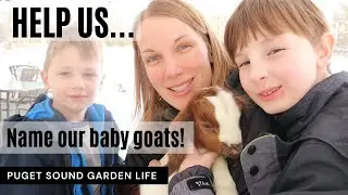 Help us name our goats!