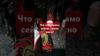Что тебе прямо сейчас нужно знать? #таро #shortsvideo #гадание #тароонлайн #расклад #tarot #ленорман