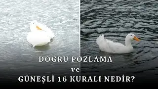 Doğru Pozlama ve Güneşli 16 Kuralı Nedir? (Sunny 16 Rule)