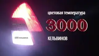 OSRAM Led P21W PY21W