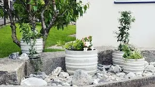 Как придать привлекательности бетонированному двору
