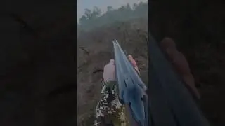 2 выстрела 2 перепела 🔥