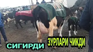 28 декабря 2021 г. АНДИЖОН ШАХРИХОН МОЛ БОЗОРИ СИГИРЛАР НАРХЛАРИ SHAXRIHON MOL BOZORI SIGIR NARXLARI