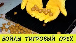 Boilies Tiger Nut DIY / Boiled Boilies