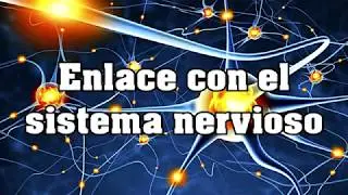 Enlace del sistema endocrino con el nervioso