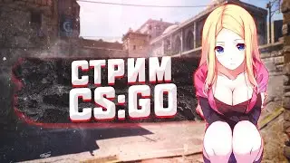 👑 CS GO СТРИМ 👑ОЦЕНКА КАНАЛОВ, РОЗЫГРЫШ СКИНОВ