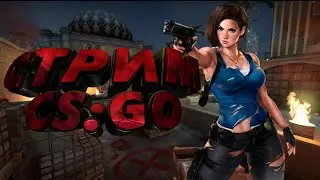 🔴СТРИМ ДЕВУШКА С ВЕБКОЙ ИГРАЕТ В КС ГО.УВЕЛИЧИВАЮ ЛИЧНЫЙ РЕЙТИНГ. ОТ СИЛЬВЕРА ДО ГЛОБАЛА CS GO
