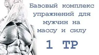 Базовый комплекс упражнений для мужчин на массу и силу (1 тр)