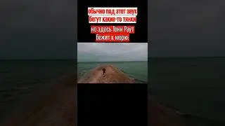 Тони Раут бежит... #тонираут