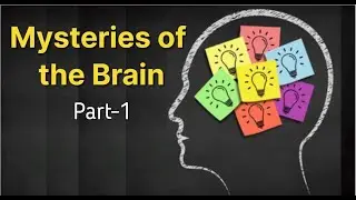 Unraveling the Enigma: Exploring the Mysteries of the Brain: Part-1#brainpower