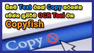 How to use Copyfish OCR web extension in Sinhala | 2021 New