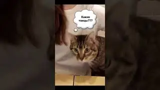 Какой-то кипишь и без Василия😁