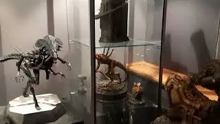 Update room tour and talk about collecting