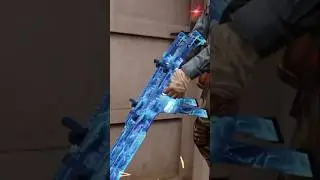 Akimbo Fennecs? Bruh 🤓
