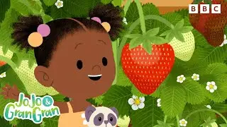 Picnics in the Park 🧺 🍓 | 10+ Minutes | JoJo and Gran Gran Official
