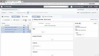 Bulk Manage with Power Editor mp4