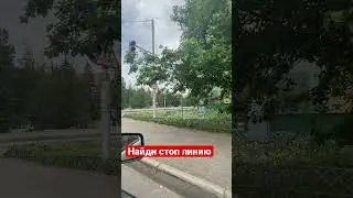 Ветки перекрыли знак 