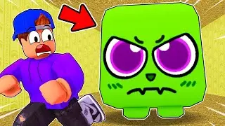 ROBLOX *NEW* ESCAPE BACKROOMS MORPHS! (ALL NEW MORPHS UNLOCKED!)