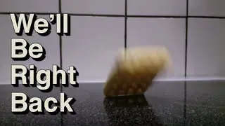 Waffle Falling Over (We'll Be Right Back)