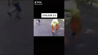 Мемы тикток