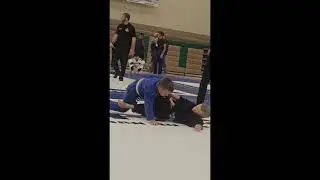 Wyatt vs Dash colossal fight company teammates