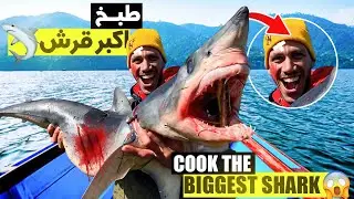 حياة البرية: وصفة سمك القرش العملاق وزن 25 كجم😱تقطيع وطبخ سمك القرش الكبير 🦈Cook the biggest shark