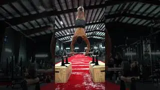 World’s Hardest Handstand Push-up?!?!