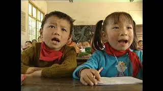 Chinese Characters and Language (in English)
