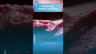 🥩 МЯСО ЛАМЫ НАДО❓🦙
