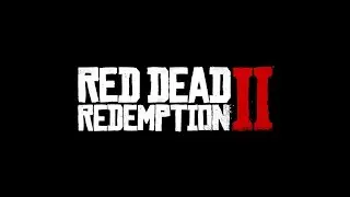 Red Dead Redemption 2  Can't Fit Screen  1366*768