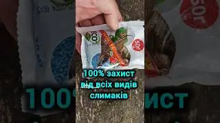 Один з найбільш ефективних засобів від різних видів слимаків.