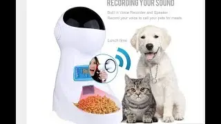 My Dog's Favourite Tech